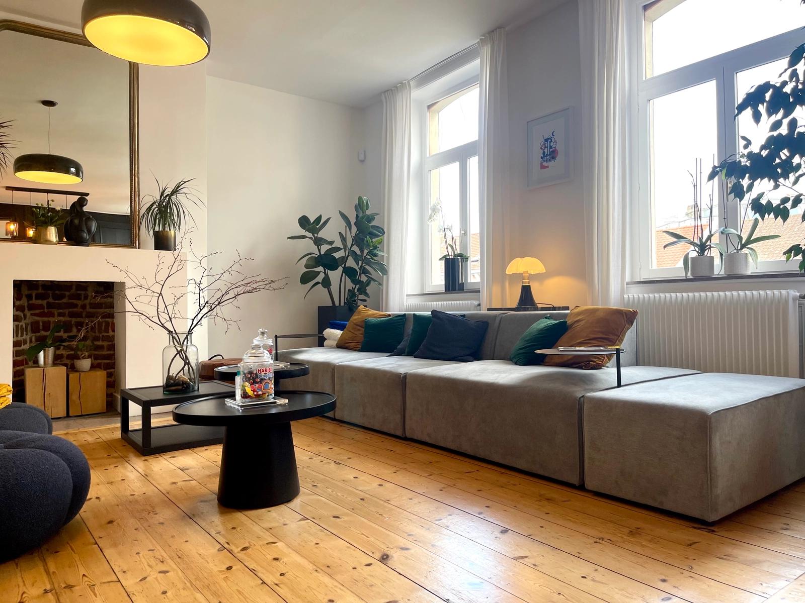 Living room in Cosy apartment in the center of Lille - 2