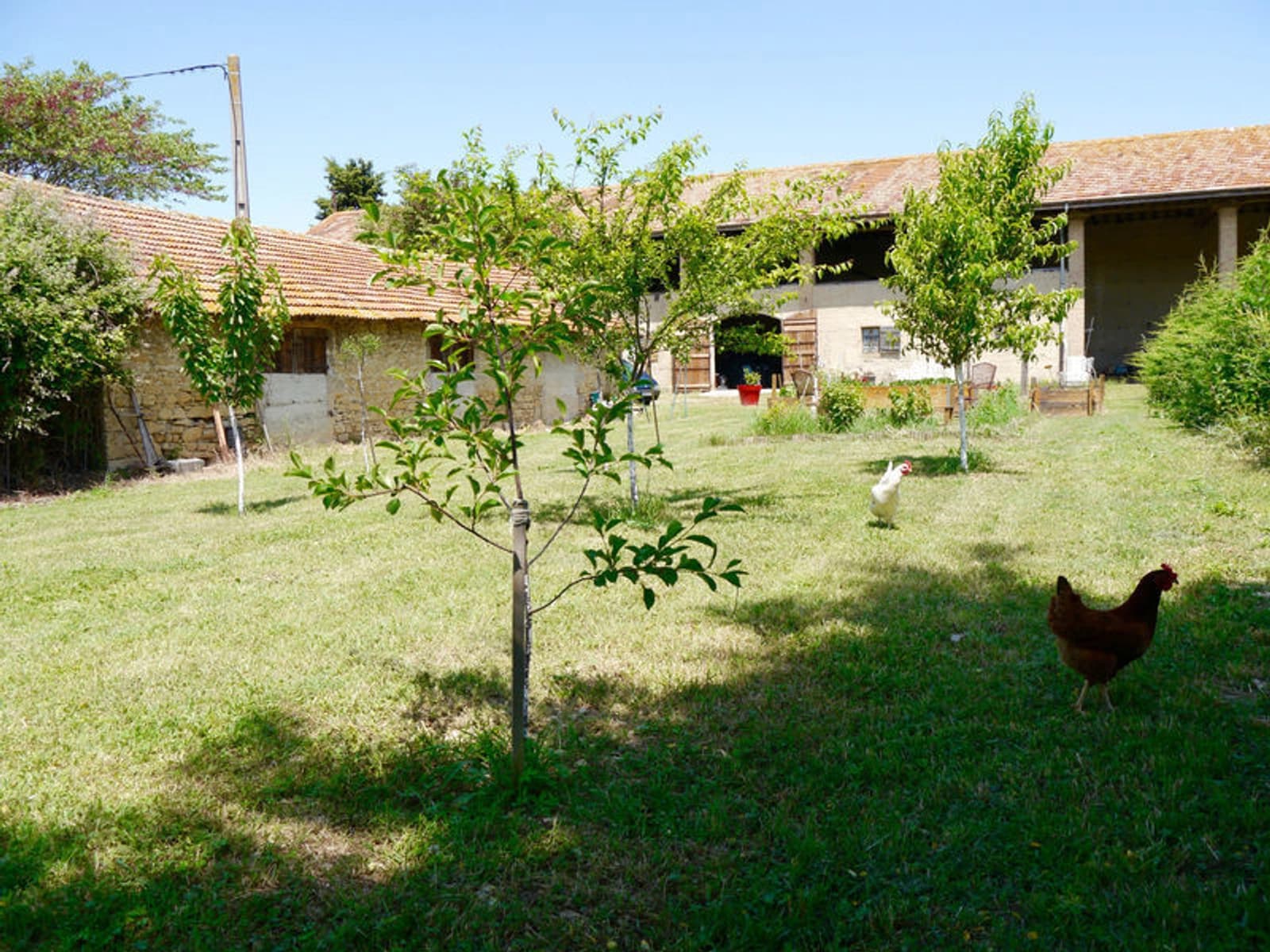 Espace Magnifique ferme rénovée avec piscine en Drôme - 4