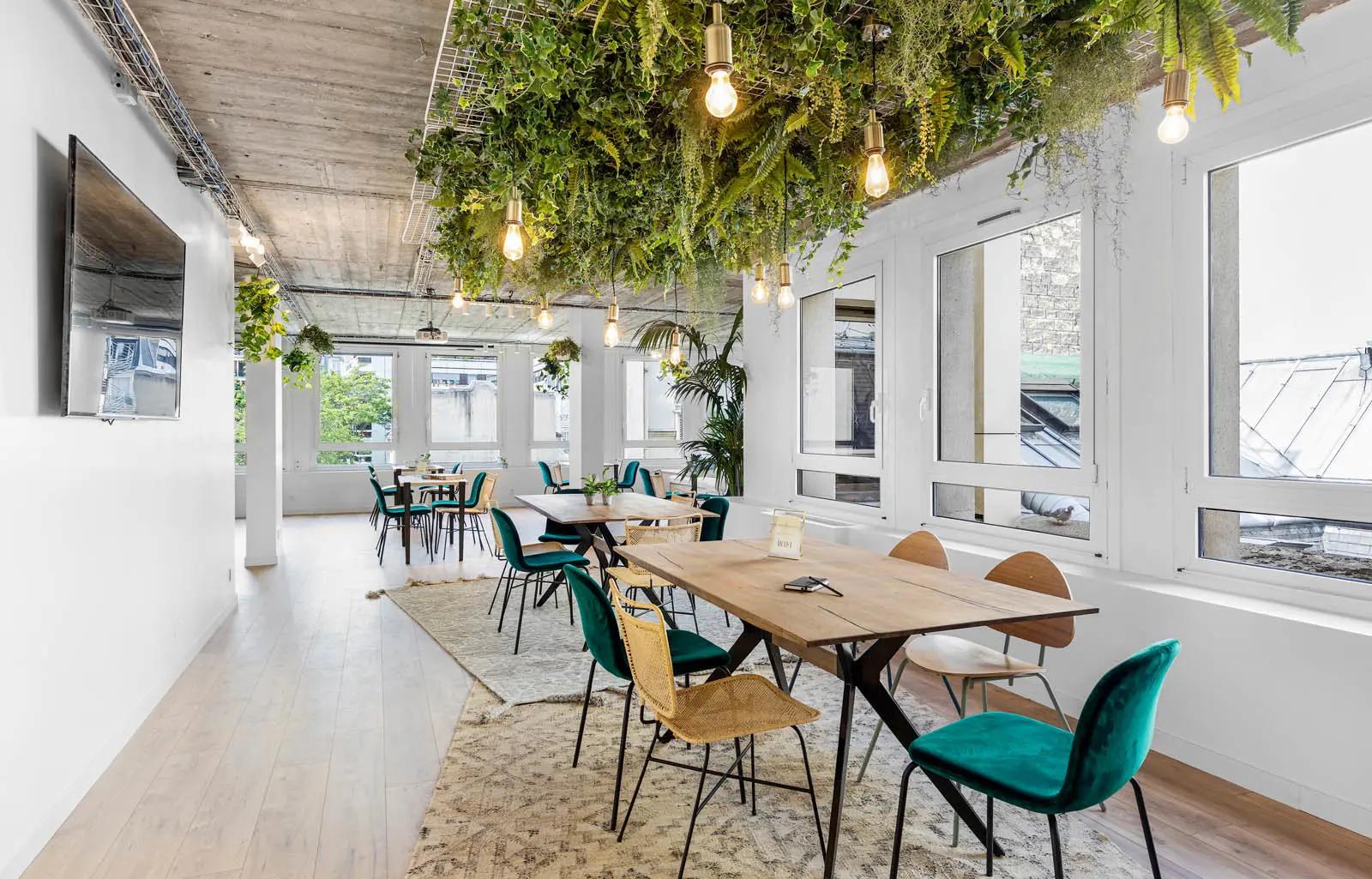 Large, luminous space with plant ceiling