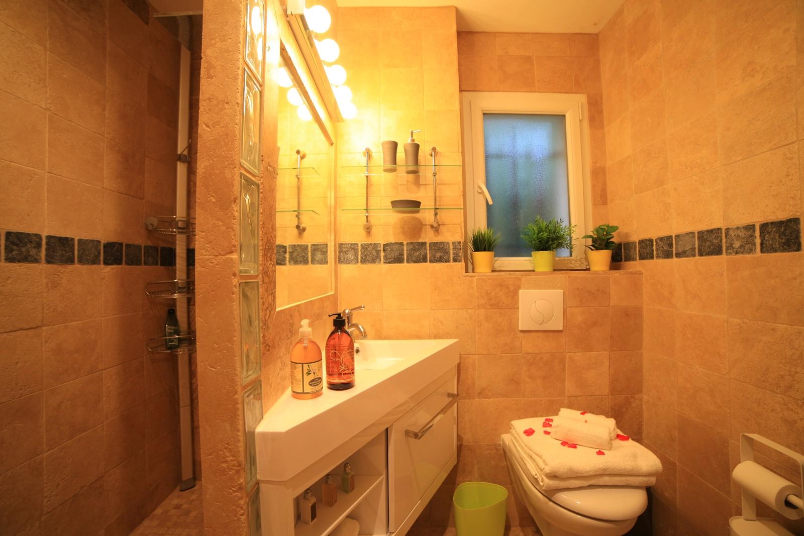 Bathroom in spacious designer villa in provence - 4