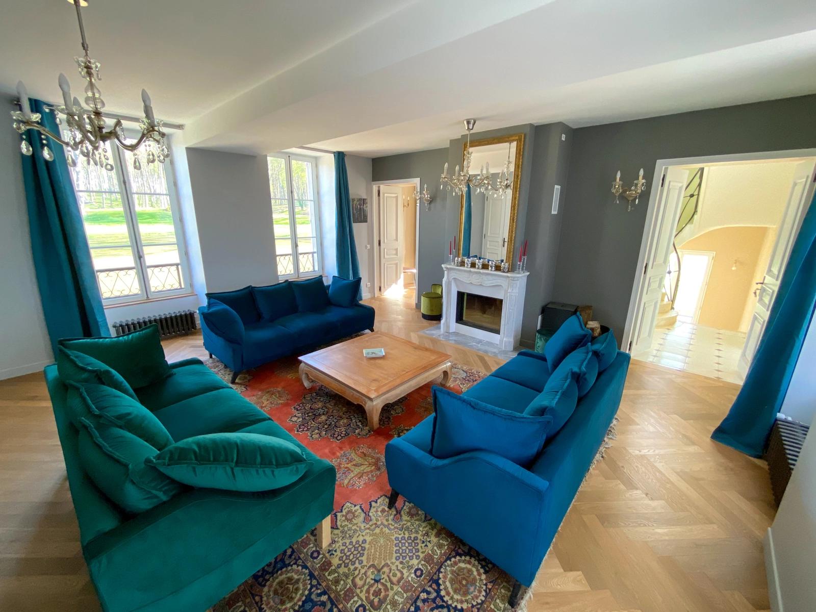 Living room in Beautiful chateau 50km south of Paris, 9ha park - 0