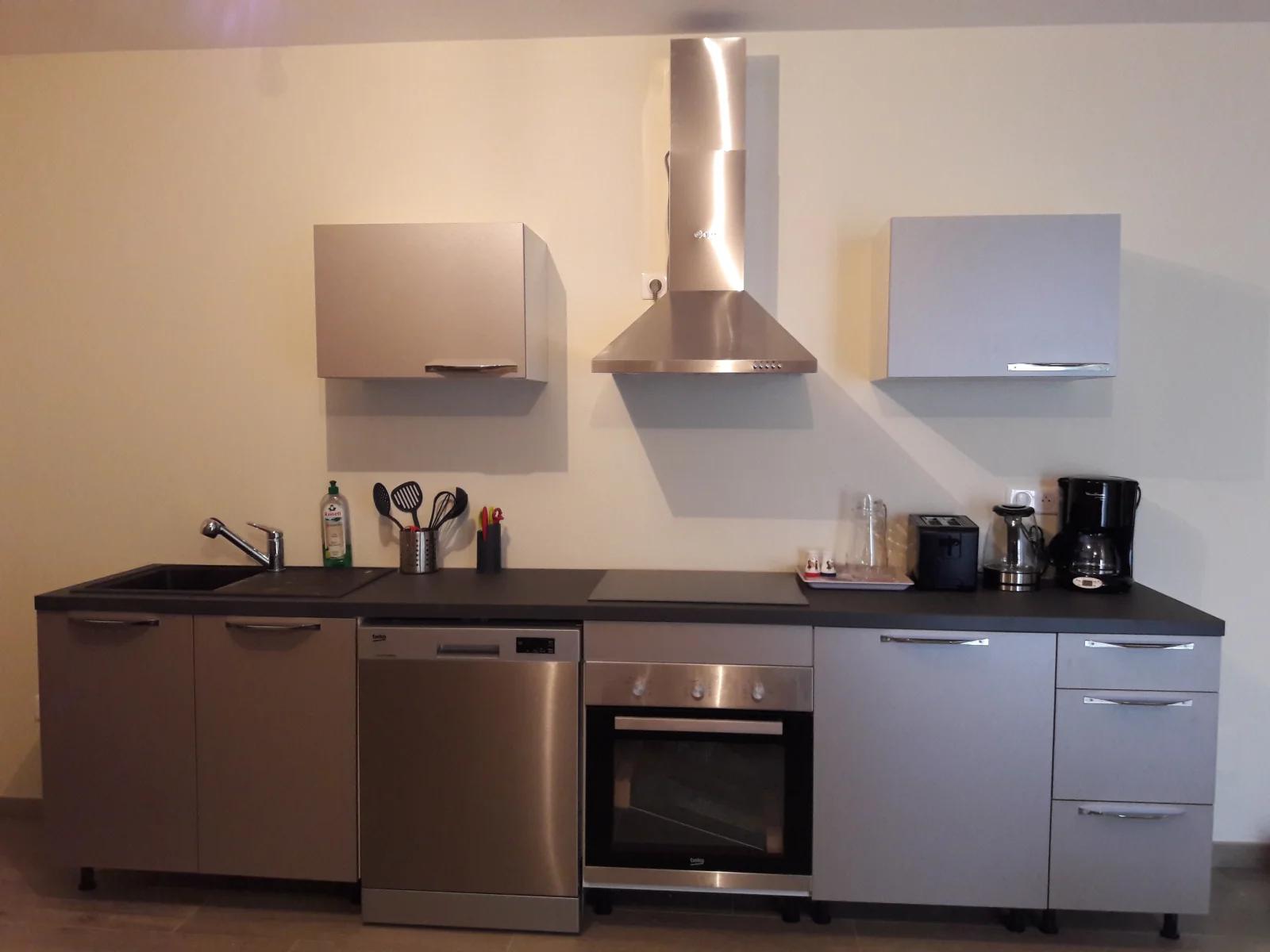 Kitchen in Apartment 70m² Europaprk - 1