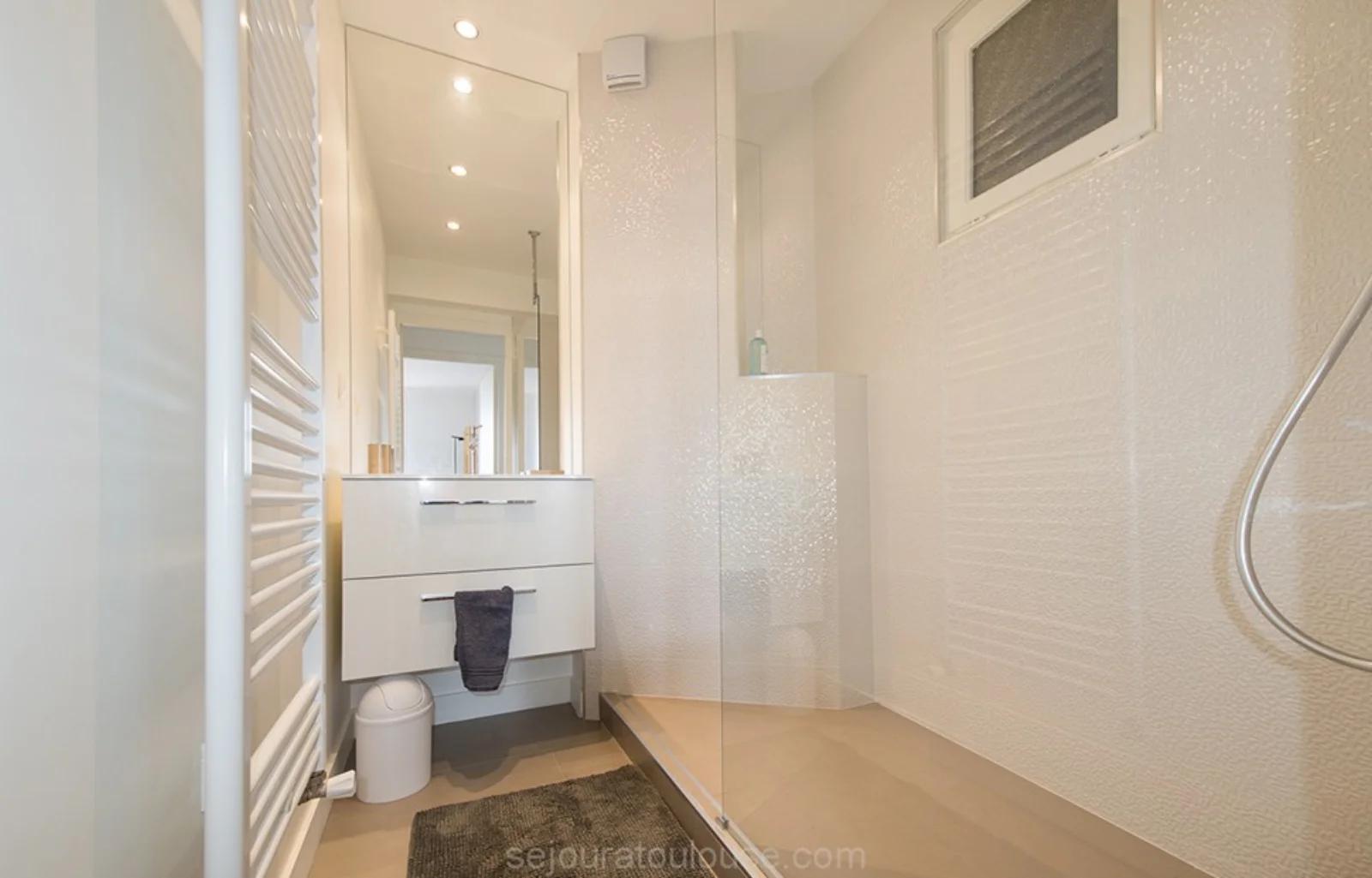 Bathroom in Modern apartment near Vieux Toulouse - 4