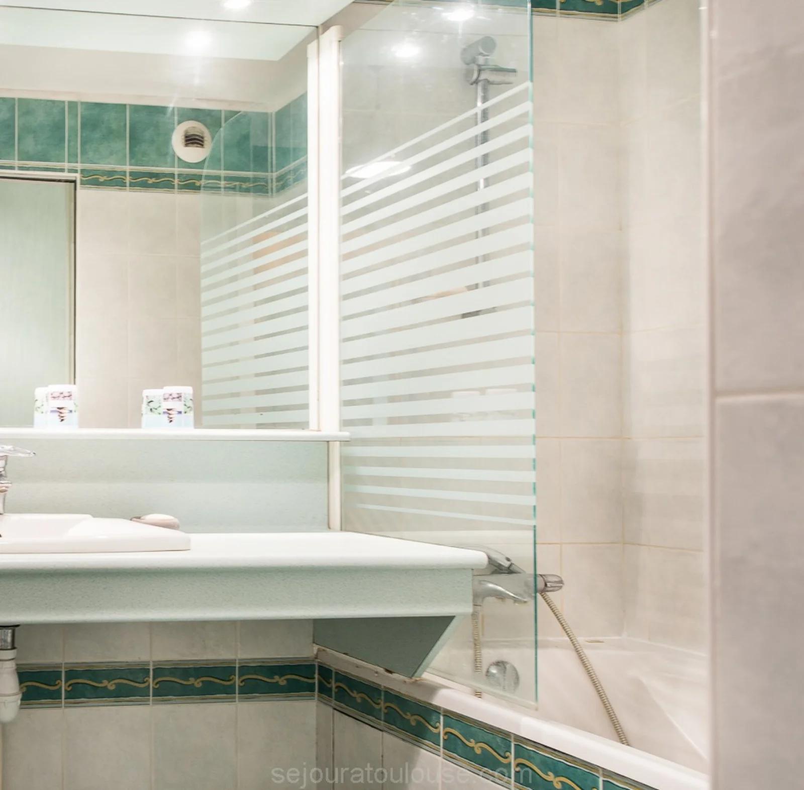Salle de bain dans Appartement confortable avec vue sur la Garonne - 1