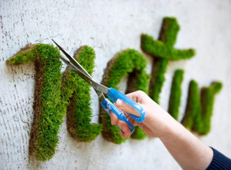 Team-building insolites - Mixez jardinage et street art !